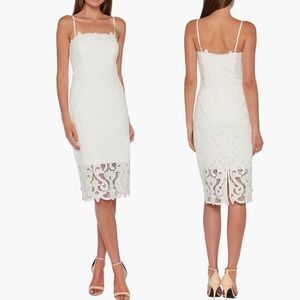 Bardot Women’s Lina Lace Sheath Dress in White size 6/S